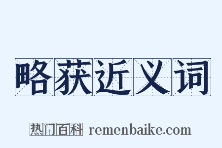 略获近义词是什么意思的图片